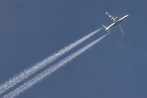 G-LCYS